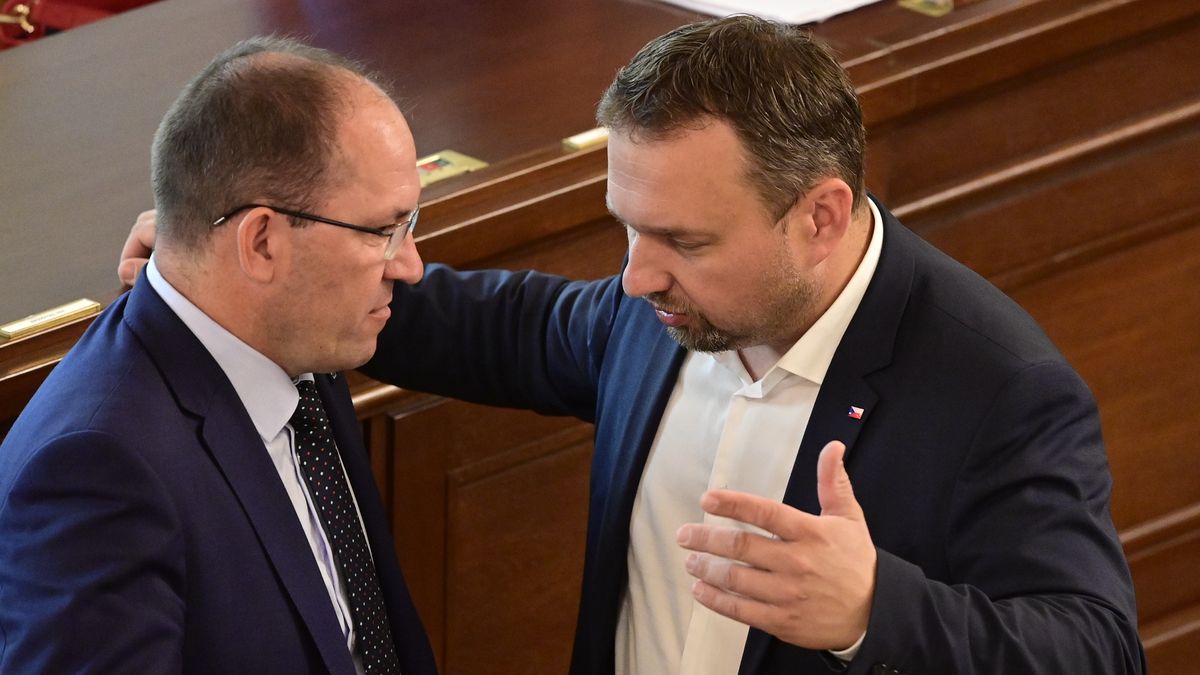 Sněmovna prodloužila ochranu uprchlíkům z Ukrajiny do roku 2024